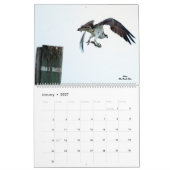 Vogelbeobachtung für Raptoren - Kalender 2025 (Jan 2027)