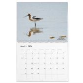 Vogelbeobachtung für Shorebirds Calendar 2022 Kalender (Mär 2026)