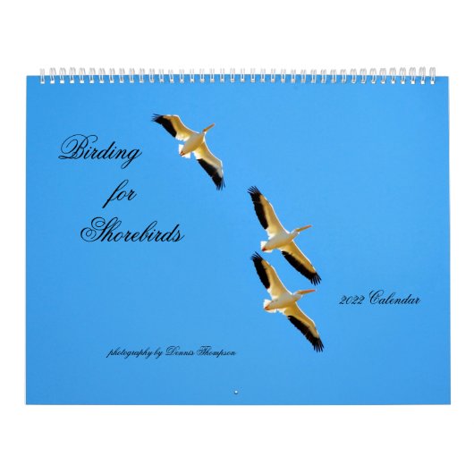 Vogelbeobachtung für Shorebirds Calendar 2022 Kalender (Titelbild)