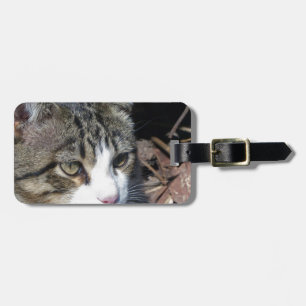 Vogelbeobachtung Gepäckanhänger