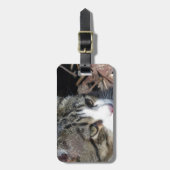 Vogelbeobachtung Gepäckanhänger (Vorderseite vertikal)