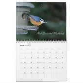 Vogelbeobachtung Kalender (Mär 2027)