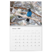 Vogelbeobachtung Kalender (Jan 2027)