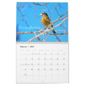 Vogelbeobachtung Kalender (Feb 2027)