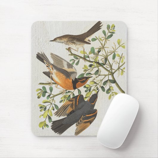 Vogelbeobachtung Lover Gift zur Darstellung Vintag Mousepad (Mit Mouse)