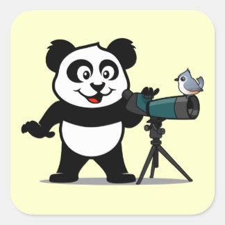 Vogelbeobachtung Panda Quadratischer Aufkleber