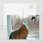 Vogelbeobachtung Postkarte (Vorne/Hinten)