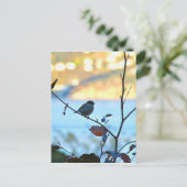 Vogelbeobachtung Postkarte (Stehend Vorderseite)