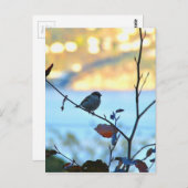 Vogelbeobachtung Postkarte (Vorne/Hinten)