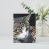 Vogelbeobachtung Postkarte (Stehend Vorderseite)