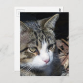 Vogelbeobachtung Postkarte (Vorne/Hinten)