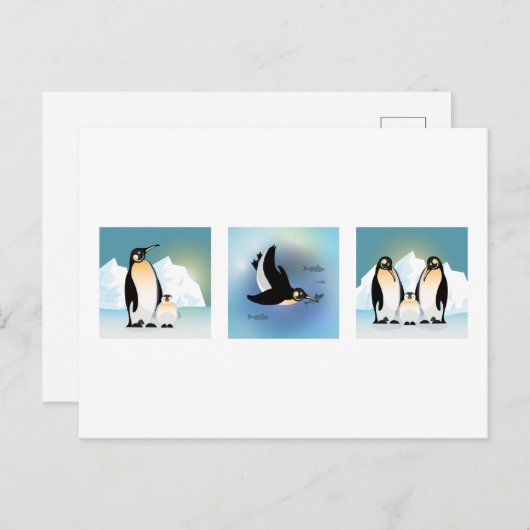Vogelbild - Die Pinguinfamilie Postcard Postkarte (Vorne/Hinten)