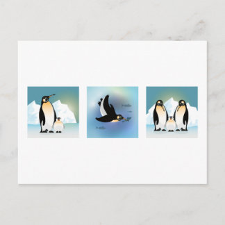 Vogelbild - Die Pinguinfamilie Postcard Postkarte