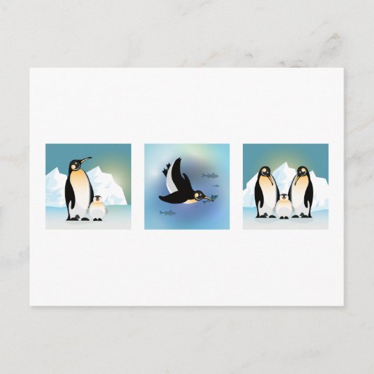 Vogelbild - Die Pinguinfamilie Postcard Postkarte (Vorderseite)