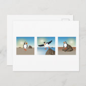Vogelbild - Die Puffin-Postkarte Postkarte (Vorne/Hinten)
