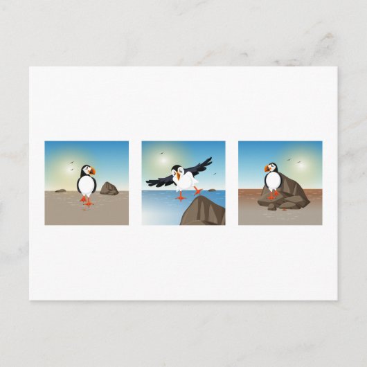Vogelbild - Die Puffin-Postkarte Postkarte (Vorderseite)