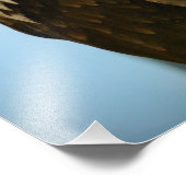 Vogelbild Fotodruck (Ecke)