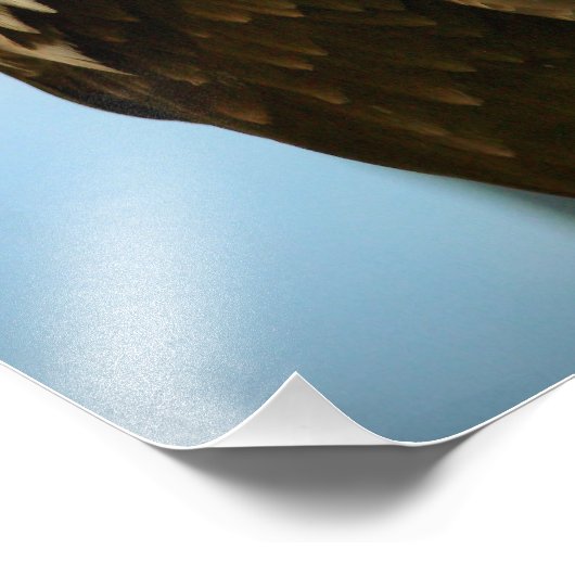 Vogelbild Fotodruck (Ecke)