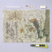 Vogelcollage Seidenpapier (Handwerk)