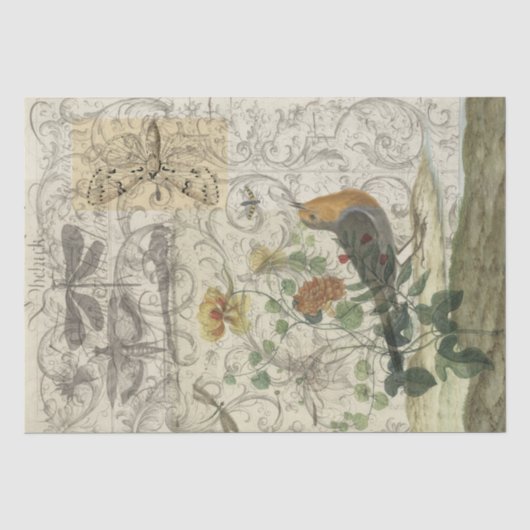 Vogelcollage Seidenpapier (Vorderseite)