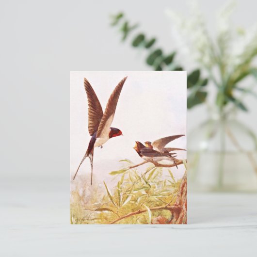 Vogeldarstellung schlucken postkarte (Stehend Vorderseite)