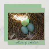 Vogeleier dreimal (Vorne/Hinten)