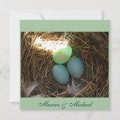 Vogeleier dreimal (Vorderseite)