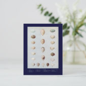 Vogeleier Plättchen C Vintage Naturgeschichte Postkarte (Stehend Vorderseite)