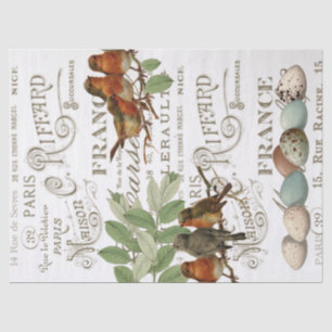 Vogeleier Vintager französischer Stadtname Leaf De Seidenpapier