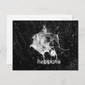 Vogelfallen Postkarte (Vorne/Hinten)