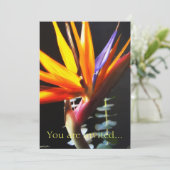 Vogelfang in Paradies Blume 4 Einladung (Stehend Vorderseite)