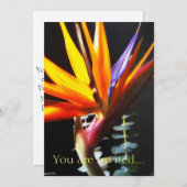 Vogelfang in Paradies Blume 4 Einladung (Vorne/Hinten)