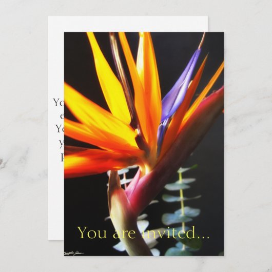 Vogelfang in Paradies Blume 4 Einladung (Vorne/Hinten)