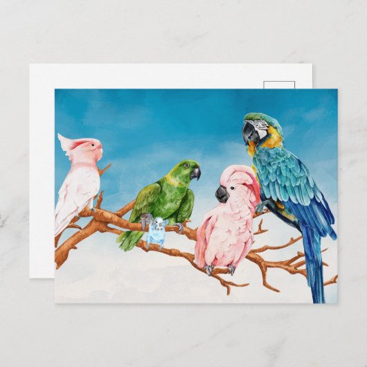 Vogelfarbenparrot Macaw Cockatoo Postkarte (Vorne/Hinten)