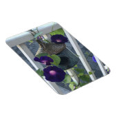 Vogelfarm Mit Morgenblumen Magnet (Rechte Seite)