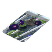 Vogelfarm Mit Morgenblumen Magnet (Linke Seite)