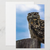 Vogelfedern Tierart zerstören Liebe des Friedens (Vorne/Hinten)