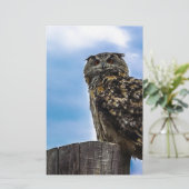 Vogelfedern Tierart zerstören Liebe des Friedens (Stehend Vorderseite)