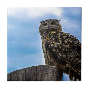 Vogelfedern Tierart zerstören Liebe des Friedens Fliese
