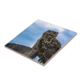 Vogelfedern Tierart zerstören Liebe des Friedens Fliese (Seite)