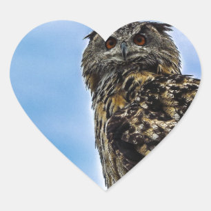Vogelfedern Tierart zerstören Liebe des Friedens Herz-Aufkleber