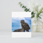 Vogelfedern Tierart zerstören Liebe des Friedens Postkarte (Stehend Vorderseite)