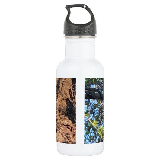 Vogelflasche Edelstahlflasche (Rückseite)