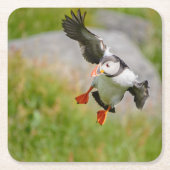 Vogelfliegen-Untersetzer des atlantischen Puffin Rechteckiger Pappuntersetzer (Vorderseite)