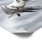 Vogelflug der Seagull Fotodruck (Ecke)