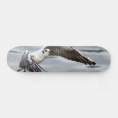 Vogelflug der Seagull Skateboard (Horizontal)