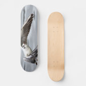 Vogelflug der Seagull Skateboard (Vorderseite)