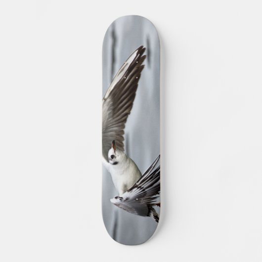Vogelflug der Seagull Skateboard (Vorderseite)