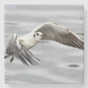 Vogelflug der Seagull Steinuntersetzer