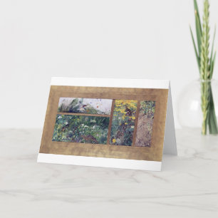 Vogelforschung, Bruno Liljefors Karte